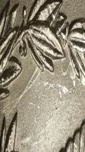 1888-Morgan-Dollar-Mad