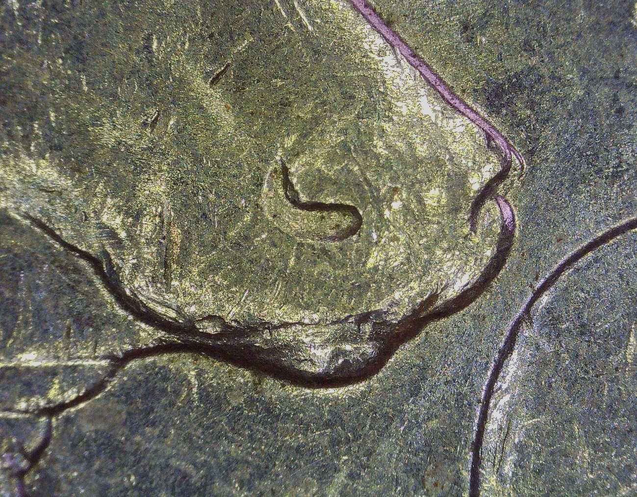 2004-P-25c-WI-DDR-005