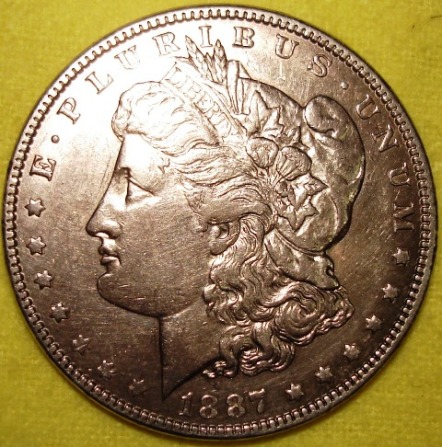 My-First-Morgan