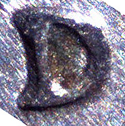 D/D-Or-RPM-On-A-2004-Roosevelt?