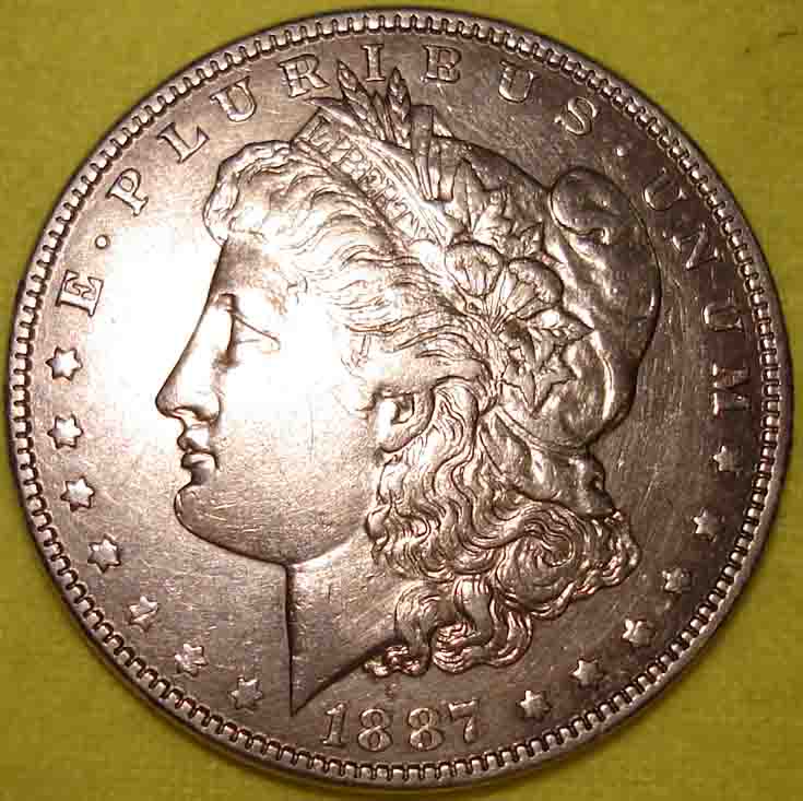 My-First-Morgan