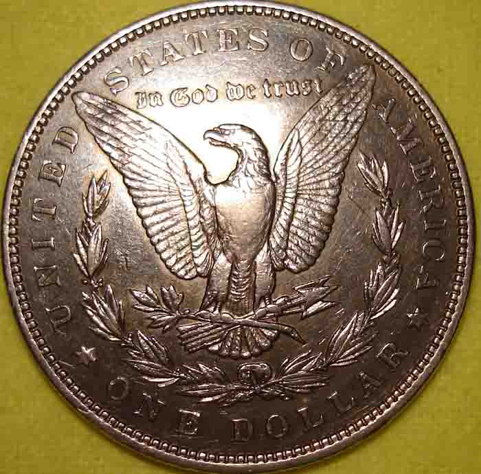 My-First-Morgan