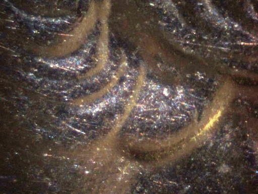 State-Quarters-With-Split-Earlobes.
