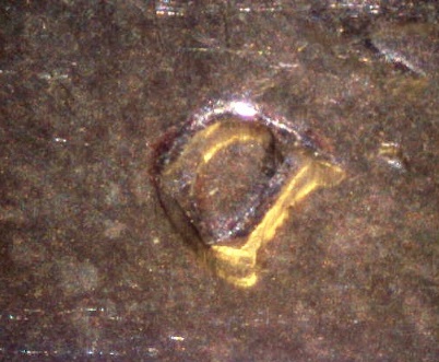 2003-D-Roosevelt-With-RPM?