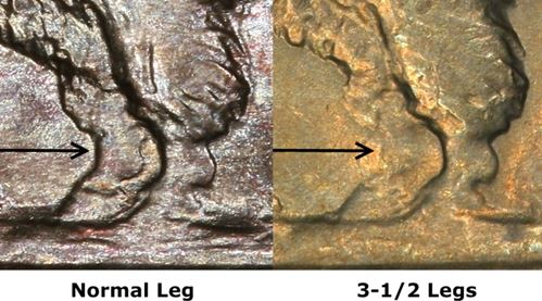 Possible-3-1/2-Legged-Buffalo?
