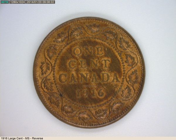 How--Many-Of-You-Collect-Large-Cents-?