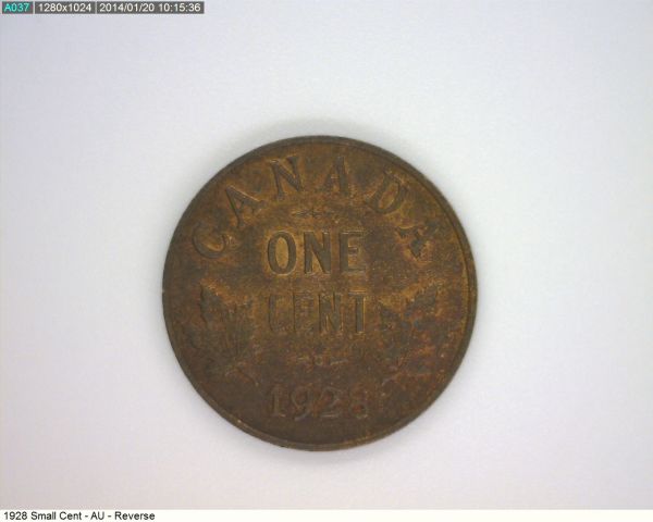 Post-Your-Freestylin-Finds!