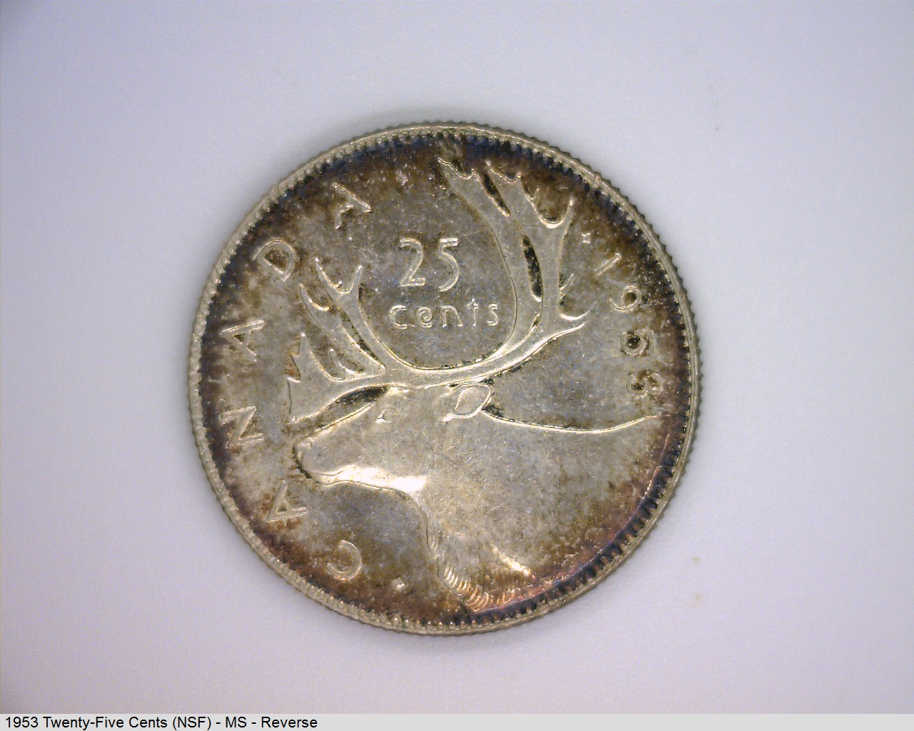 Post-Your-Most-Recent-Canadian-Coin-Purchases!