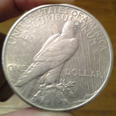 Should-I-Send-These-Peace-Dollars-To-Be-Graded?
