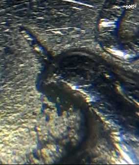 What-Is-This-Eagle-Smokin'?-1998-Quarter
