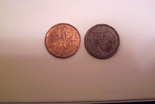 1991-1-Cent-Rotated-Die-Question