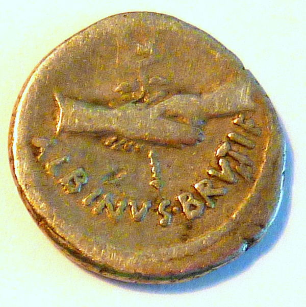 History-Of-D.-Junius-Albinus