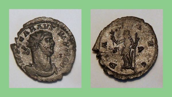 Interesting-Carausius-Double-Strike
