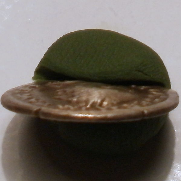 Vitellius