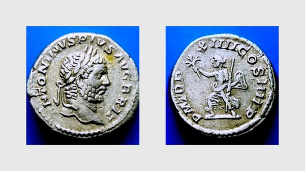 Newest-Coins