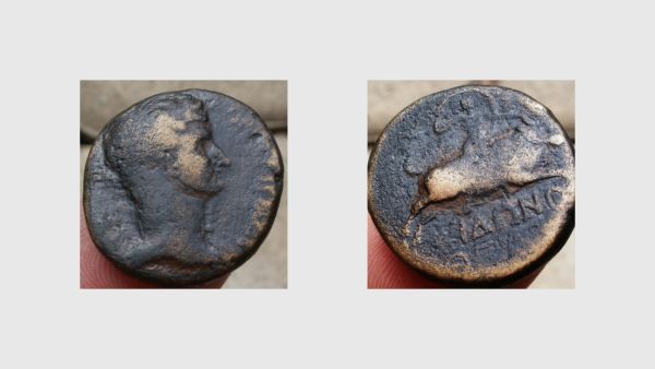 Newest-Coins