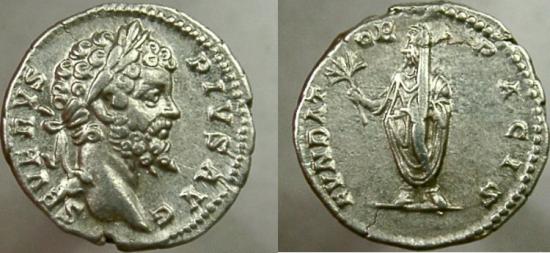 Newest-Coins
