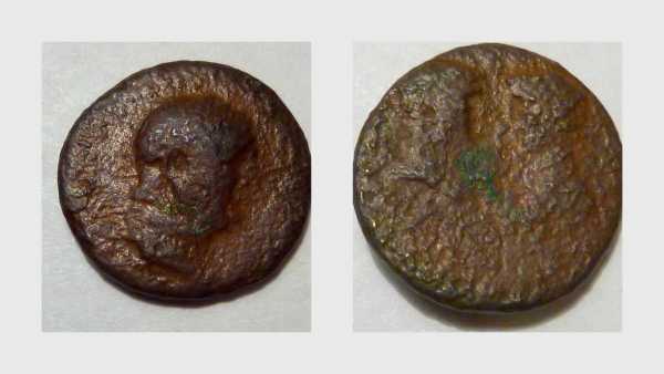 Vespasian,-Titus-&-Domitian--Ae-Coin