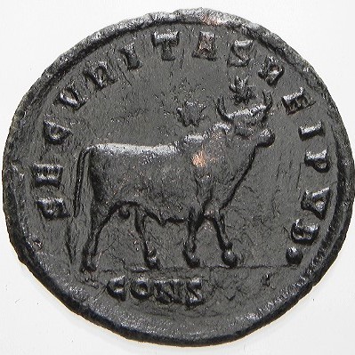 Julian-II-Apis-Bull