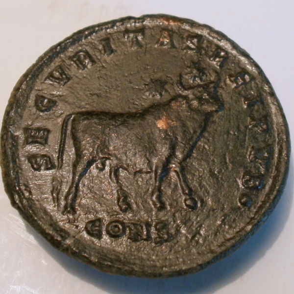 Julian-II-Apis-Bull