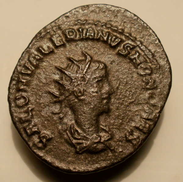 Saloninus-Antoninianus-Addition