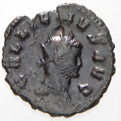 New-Coins-For-Christmas