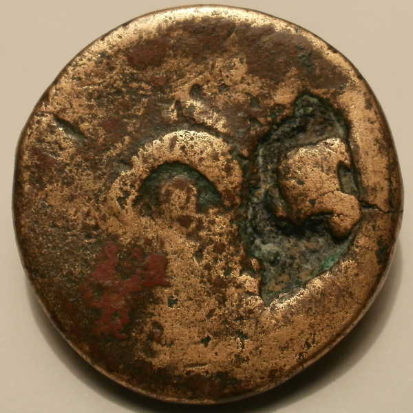 Need-Help-With-ID
