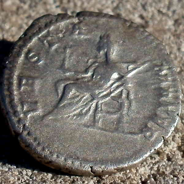Coin-Show-Purchases-And-Help-Needed
