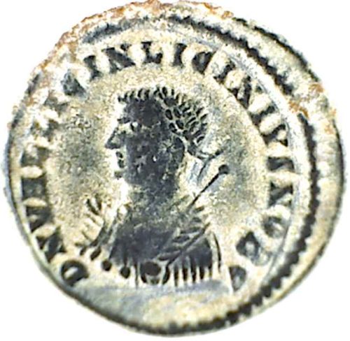 Campgate-Coins