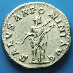More-New-Coins