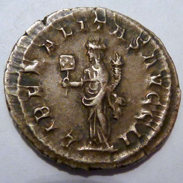 Is-This-Roman-Good-For-The-Price?