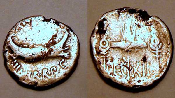 Mark-Antony-Legionary-Denarius-Thoughts?