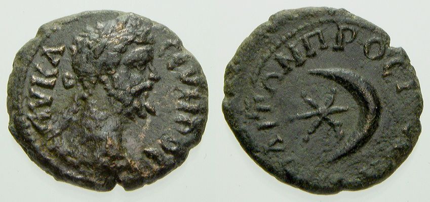 Crescent-And-Star-Cousins