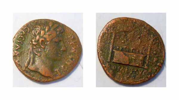 My-New-Coins.