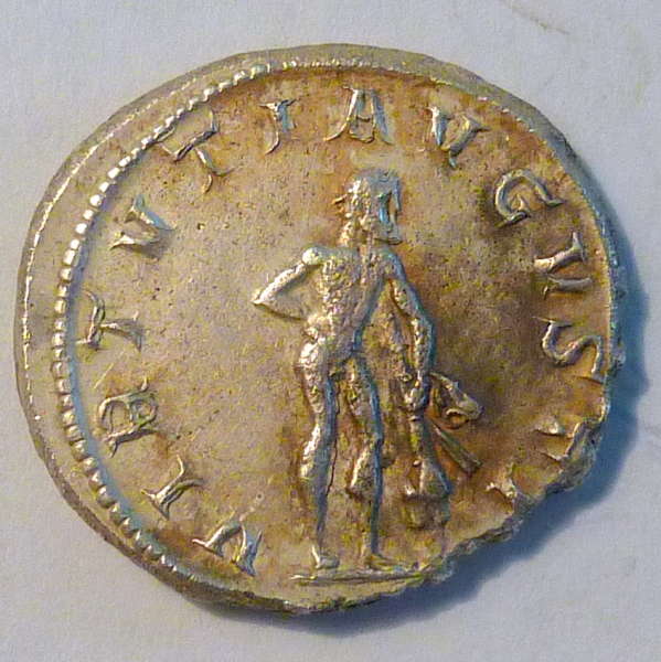 Severan-Fourree-Denarius?