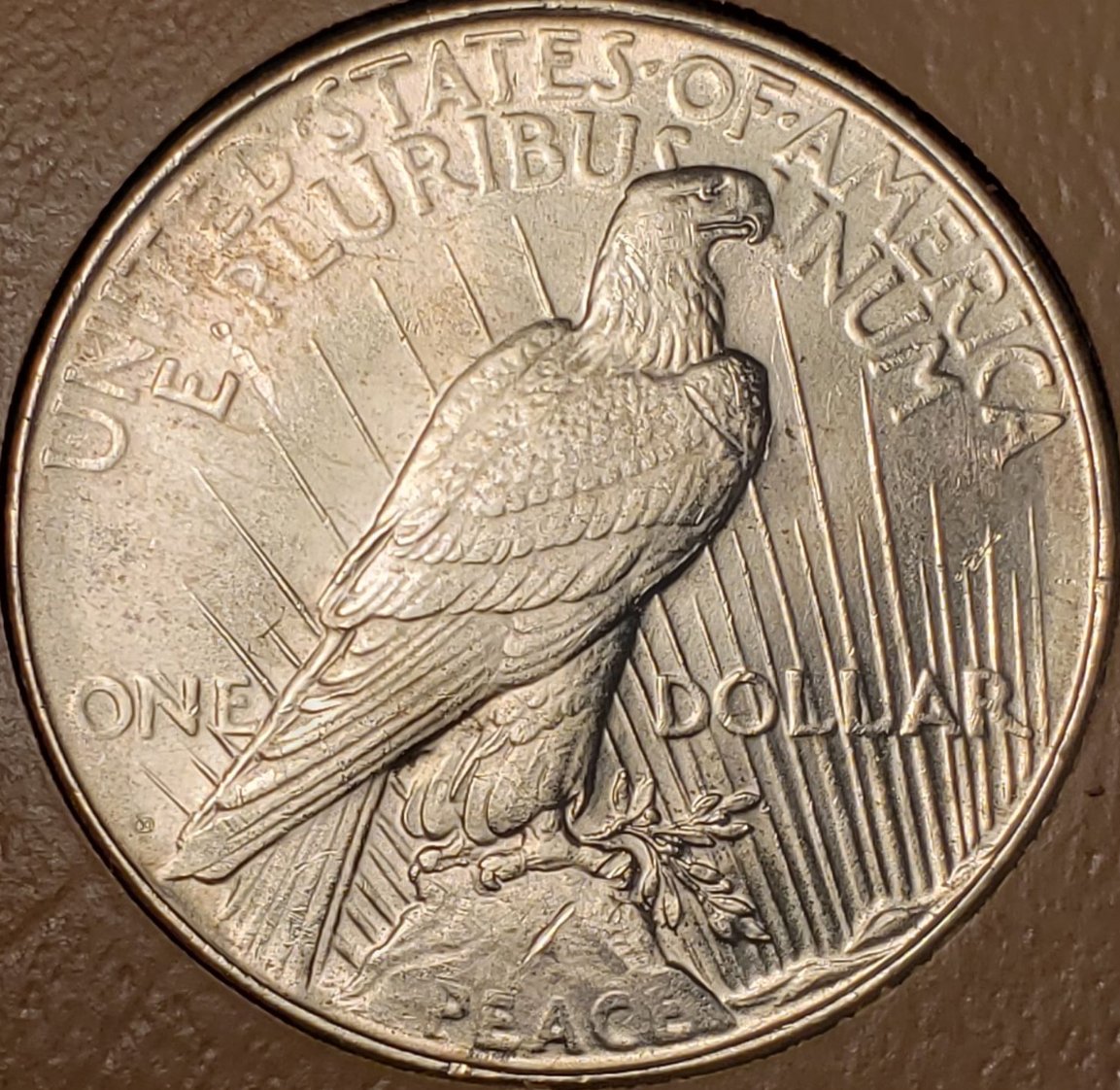 1923-D-Peace-Dollar-Grade?