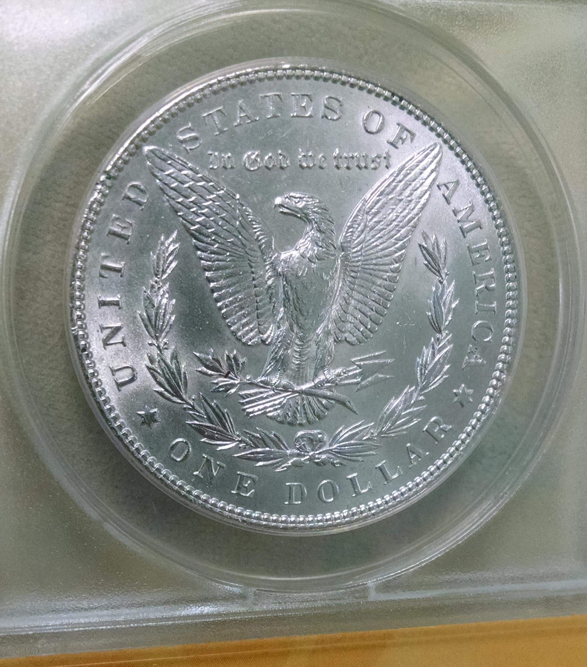 Thoughts-On-These-2---1899-Morgan-Dollars-PCGS-&-ANACS