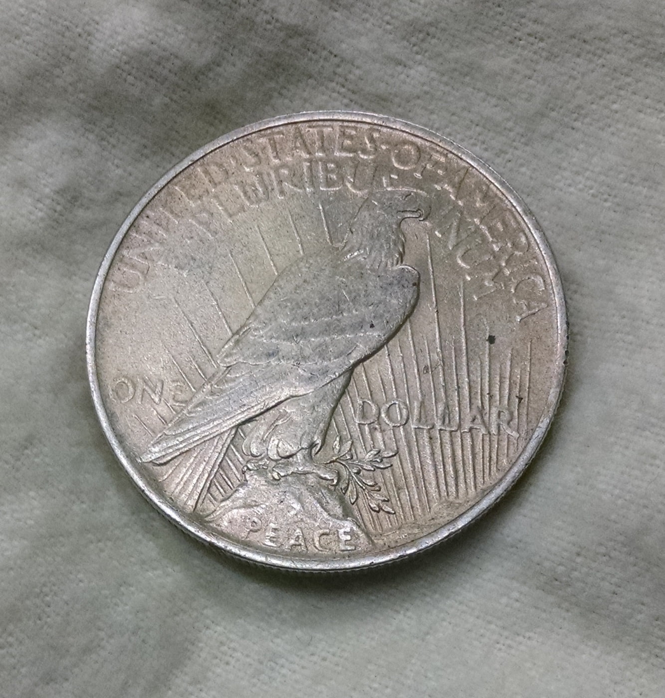 Thoughts-On-This-1923-Peace-Dollar-?