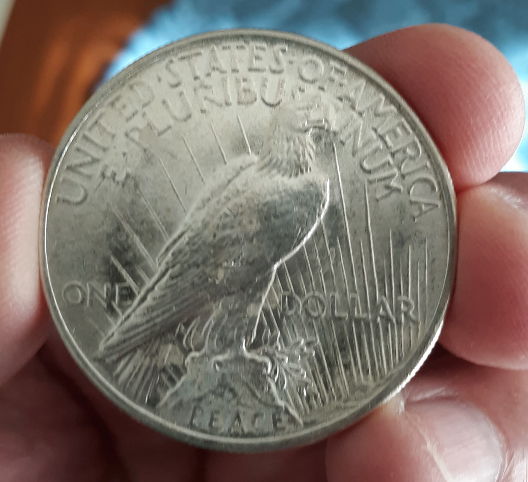 Grade-Opinions-On-1924-Peace-Dollar