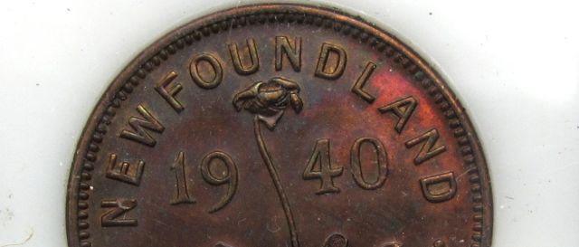 Newfoundland-Pennies---Grade-And-What-To-Do-Advice