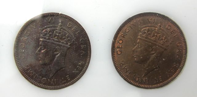Newfoundland-Pennies---Grade-And-What-To-Do-Advice
