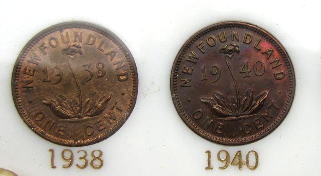 Newfoundland-Pennies---Grade-And-What-To-Do-Advice