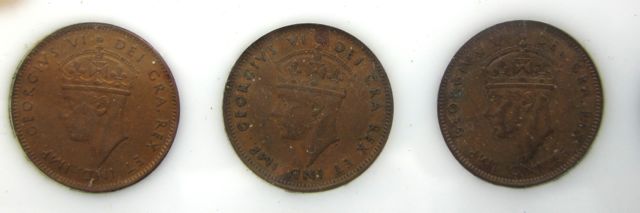 Newfoundland-Pennies---Grade-And-What-To-Do-Advice