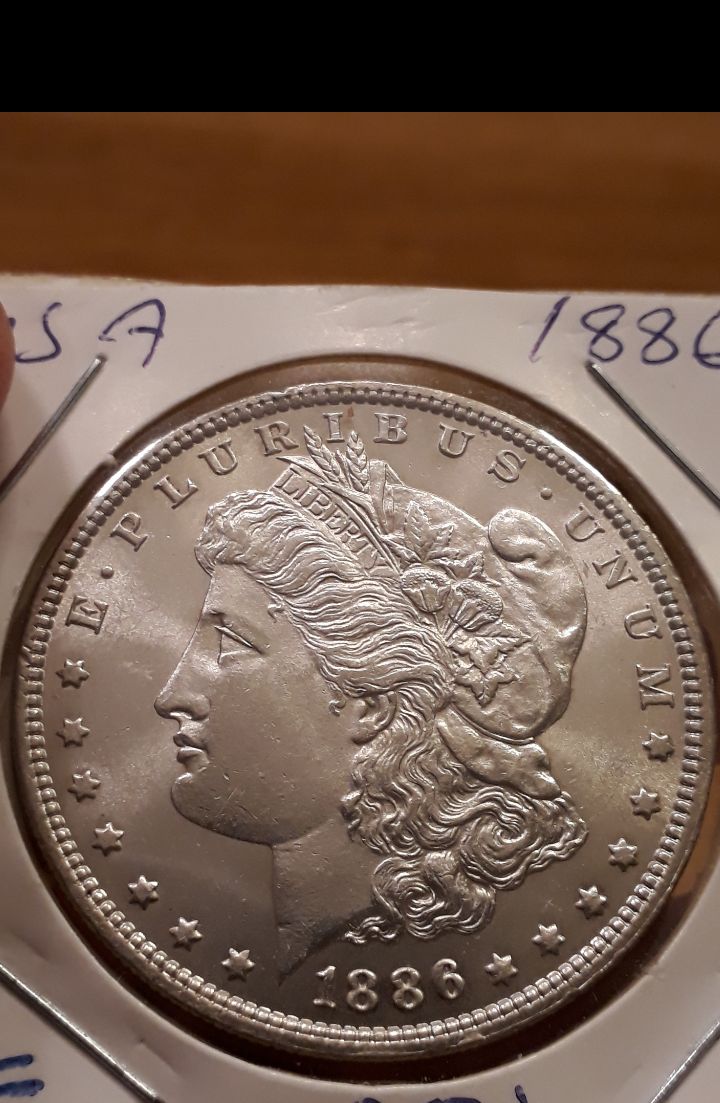 1886-Morgan-Dollar,-Grading-Needed