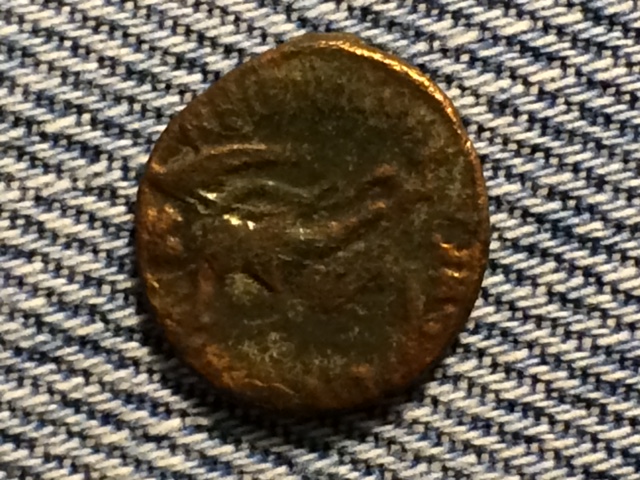 Help-Indentify-Please