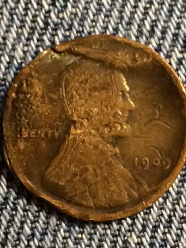 What-Did-I-Just-Find?-1909-LWC