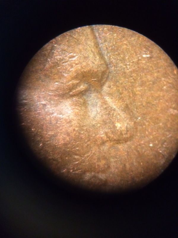 1950-S-LWC,-Double-Eye/Nose?