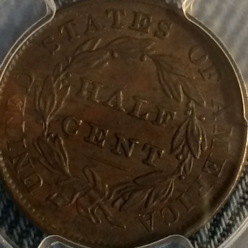 Went-Crazy-And-Purchased-This-Half-Cent-Yesterday!