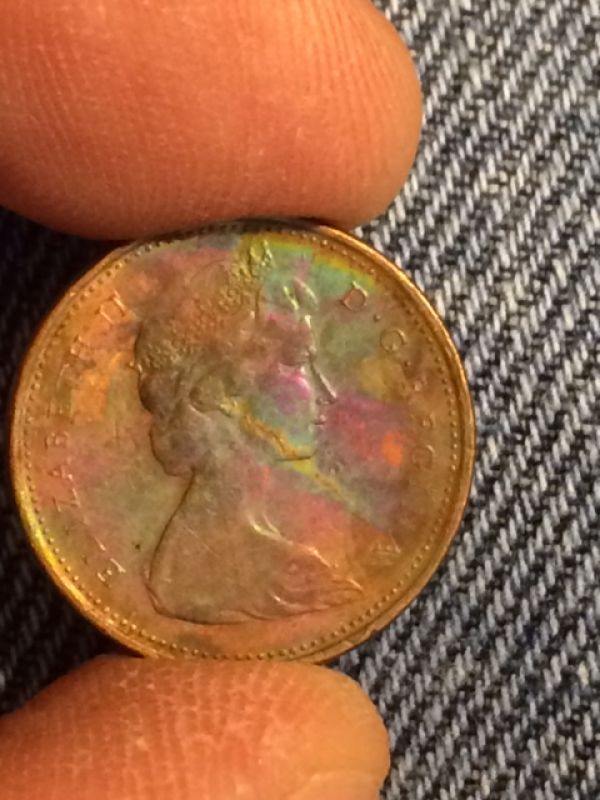 Found-This-In-Change-Environmental-Toning