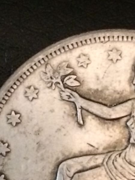 1876-Trade-Dollar,-Real?